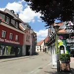 Appartement Sonnenterrasse Elzach