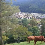 Sonnenterrasse * Elzach