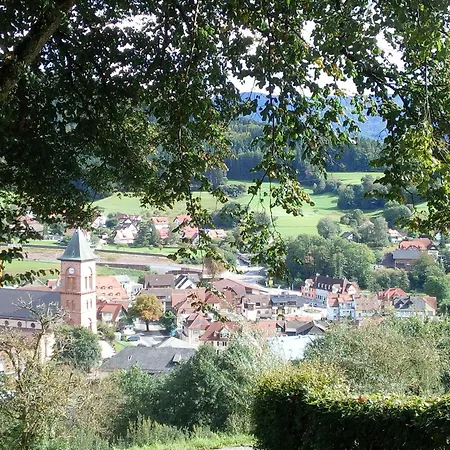 Sonnenterrasse Apartment Elzach