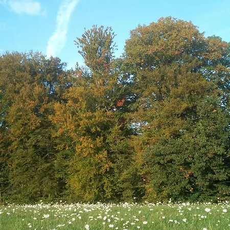 Sonnenterrasse * Elzach