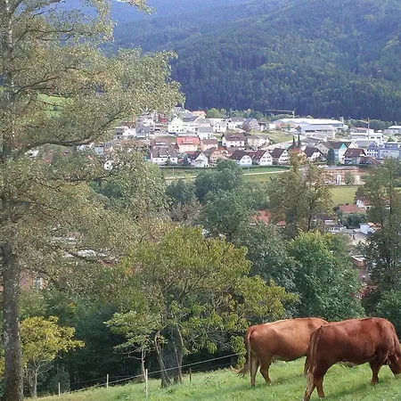 Sonnenterrasse