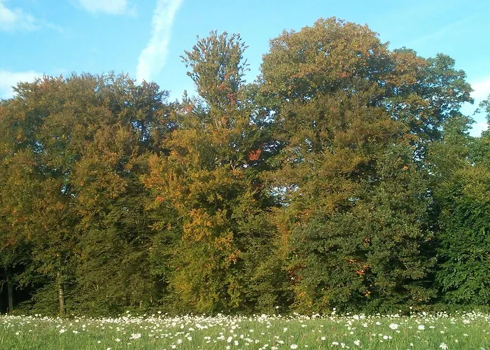 Sonnenterrasse * Elzach